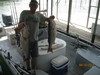 (08/10/2013) - Nice Striped Bass