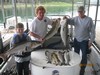 (08/11/2013) - Nice Striped Bass