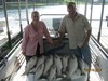 (08/14/2013) - Nice Striped Bass