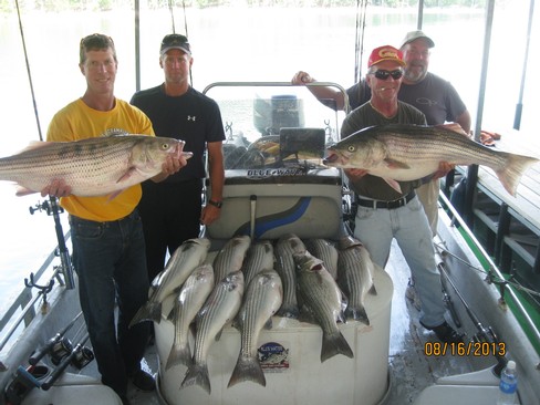 Nice Striped Bass