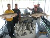 (08/16/2013) - Nice Striped Bass
