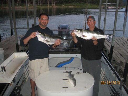 Nice Striped Bass
