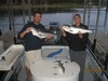 (08/16/2013) - Nice Striped Bass