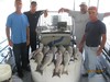 (08/18/2013) - Nice Striped Bass