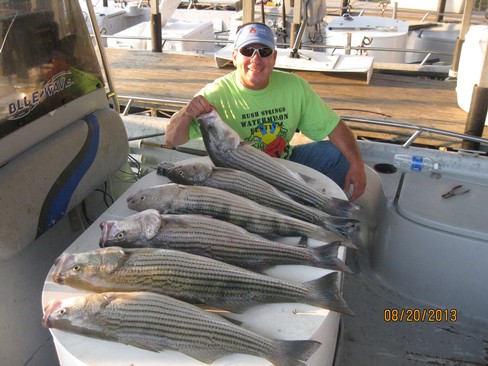 Nice Striped Bass