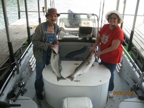 Nice Striped Bass