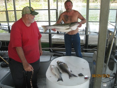 Nice Striped Bass