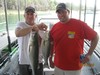 (08/31/2013) - Nice Striped Bass