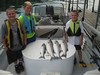 (09/01/2013) - Nice Striped Bass