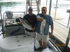 (09/01/2013) - Nice Striped Bass