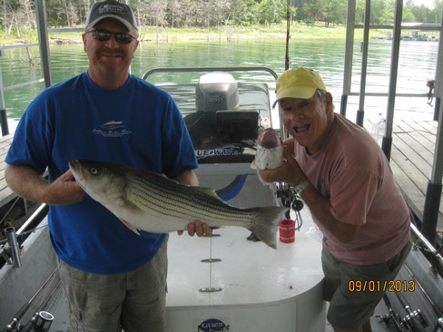 Nice Striped Bass