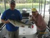(09/01/2013) - Nice Striped Bass