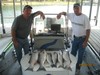 (09/06/2013) - Nice Striped Bass