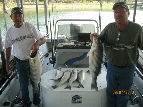 Nice Striped Bass