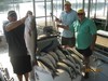 (09/11/2013) - Nice Striped Bass