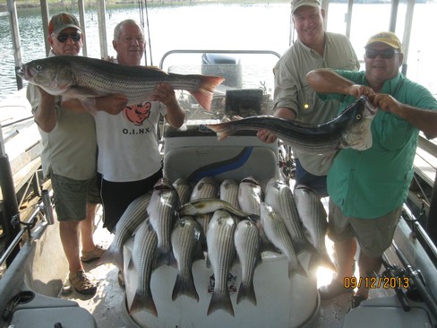 Nice Striped Bass