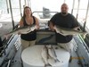 (09/13/2013) - Nice Striped Bass
