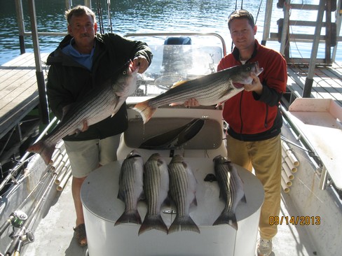 Nice Striped Bass