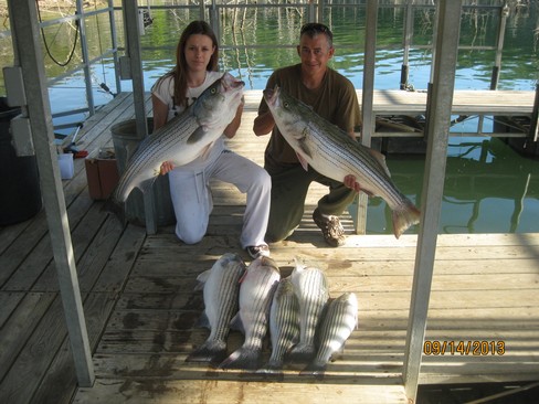 Nice Striped Bass