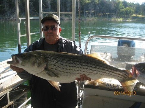 Nice Striped Bass