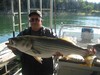(09/14/2013) - Nice Striped Bass