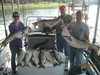 (09/15/2013) - Nice Striped Bass