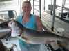 (09/15/2013) - Nice Striped Bass