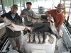 (09/18/2013) - Nice Striped Bass