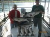 (09/19/2013) - Nice Striped Bass