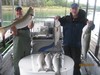 (09/20/2013) - Nice Striped Bass