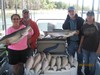 (09/21/2013) - Nice Striped Bass