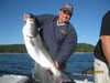 (09/23/2013) - Nice Striped Bass
