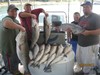 (09/23/2013) - Nice Striped Bass