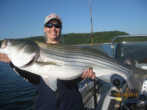 Nice Striped Bass