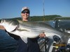 (09/24/2013) - Nice Striped Bass