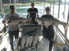 (09/24/2013) - Nice Striped Bass