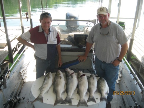 Nice Striped Bass