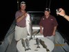(09/26/2013) - Nice Striped Bass