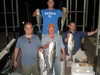 (09/27/2013) - Nice Striped Bass