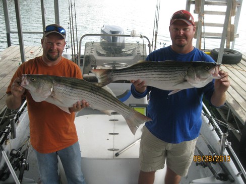 Nice Striped Bass
