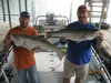 (09/28/2013) - Nice Striped Bass