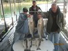 (09/29/2013) - Nice Striped Bass