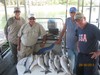 (09/30/2013) - Nice Striped Bass