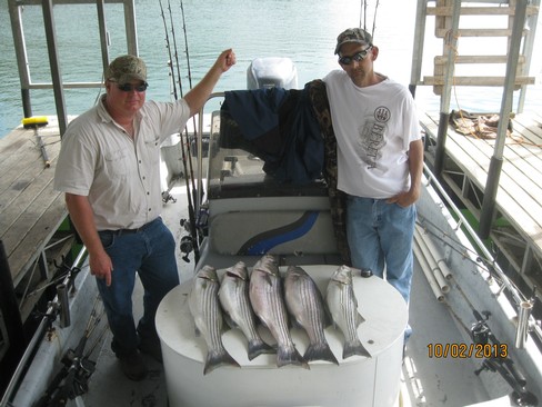 Nice Striped Bass