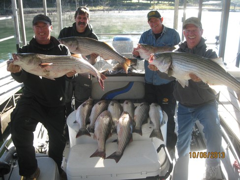 Nice Striped Bass