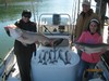 (10/06/2013) - Nice Striped Bass