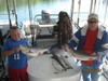(10/07/2013) - Nice Striped Bass