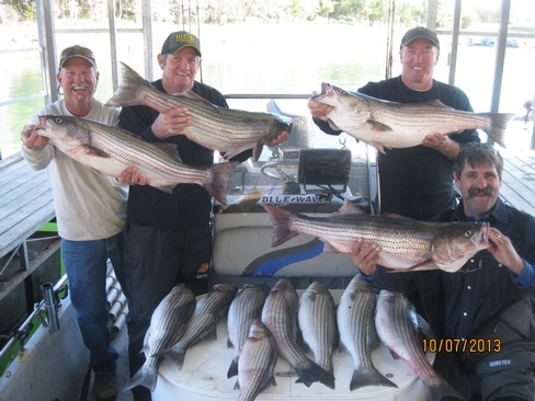 Nice Striped Bass