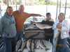 (10/08/2013) - Nice Striped Bass