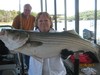 (10/08/2013) - Nice Striped Bass